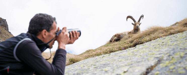 Mann fotografiert Ziege aus Froschperspektive